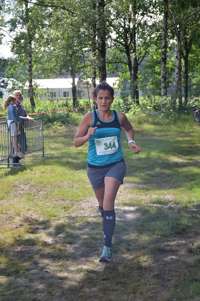 estafette deel 1 - 2017 - 327